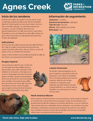 Agnes Creek Information Guide - Spanish