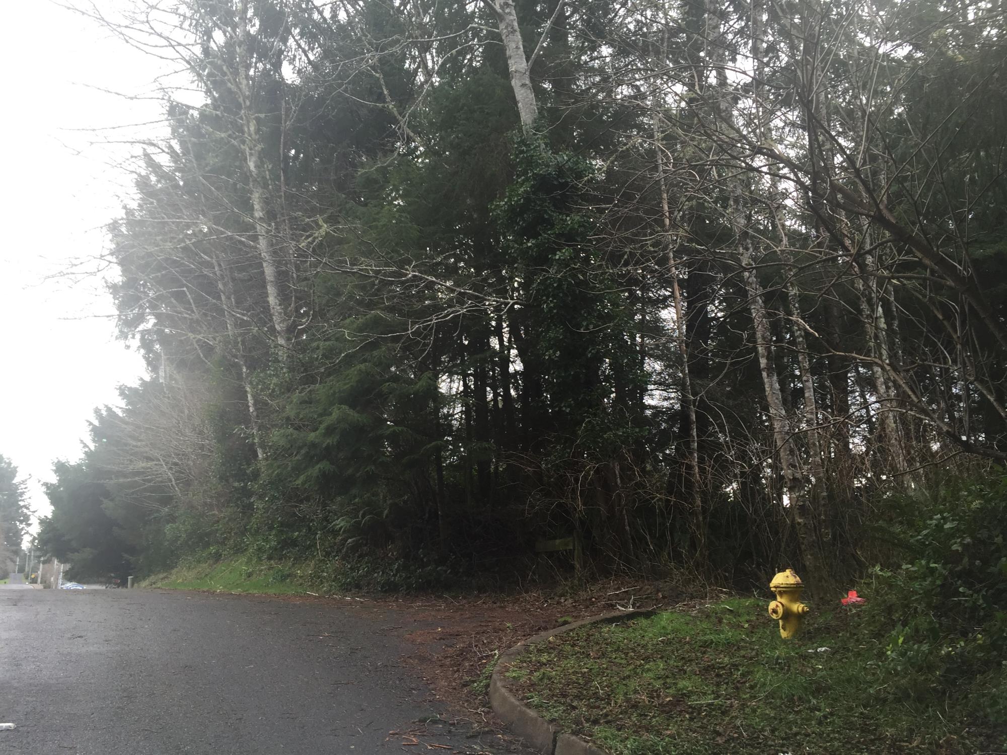 NE Reef Avenue - OceanLake District