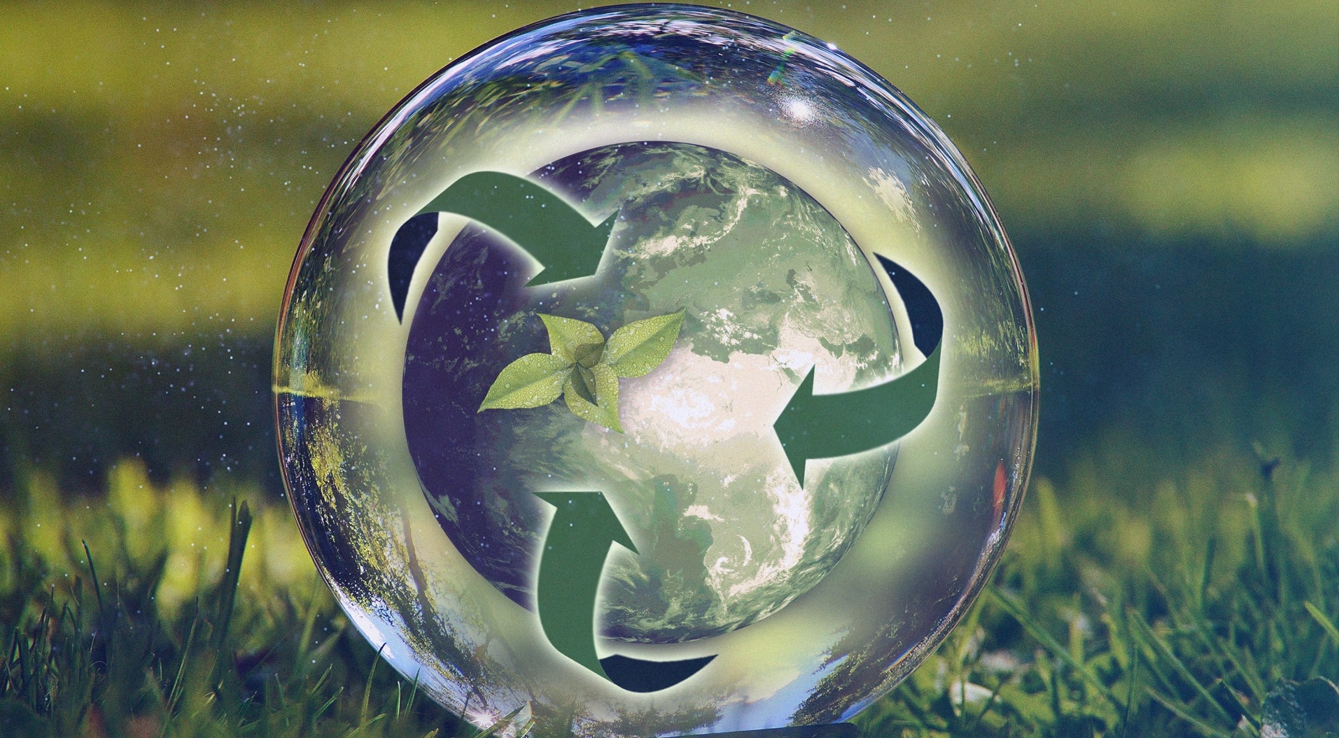 ecology-clean-planet-vegetation2