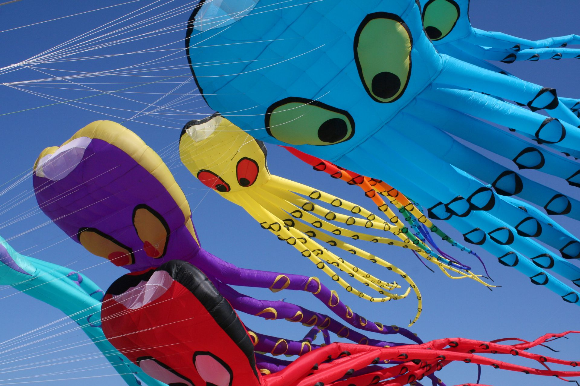 Summer Kite Festival